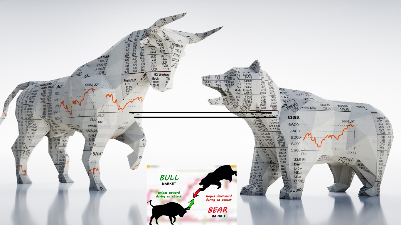 Bull and Bear Market